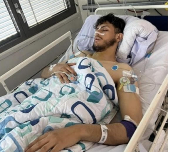 محمود شبيب