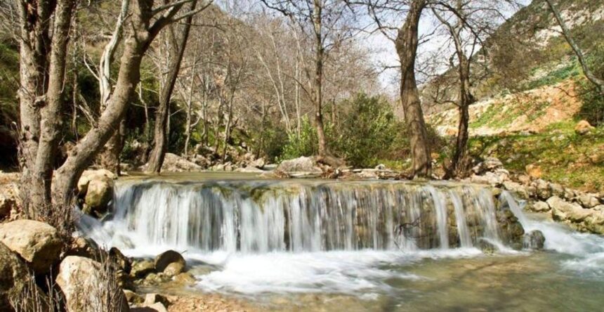 نبع الطاسة الجنوب